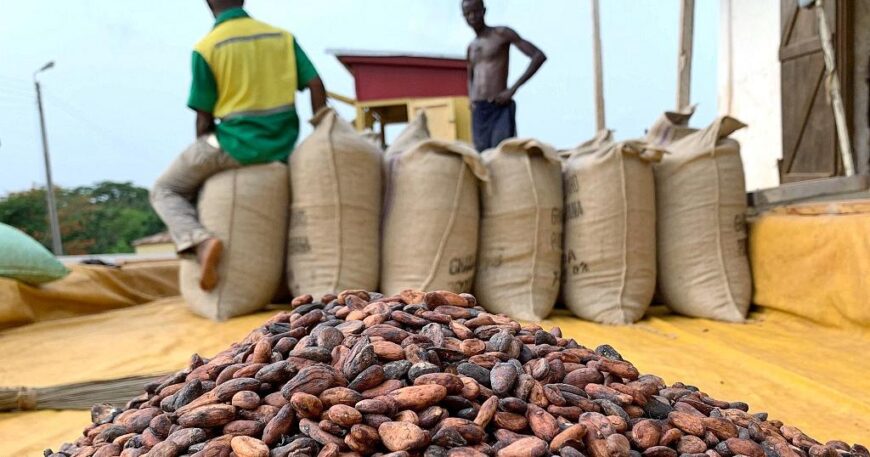 Supplier of Cocoa Bean export and Import +27631501216