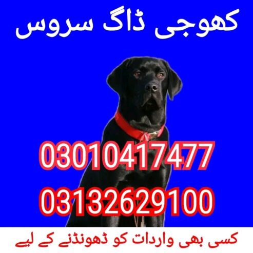 Army dog center murree 03132629100