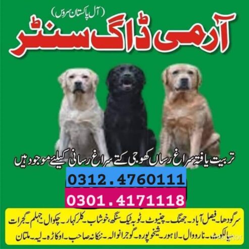 Army Dog Center Attock 03454760111