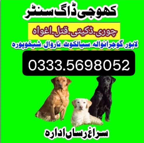 Army Dog Center Okara 03124760111