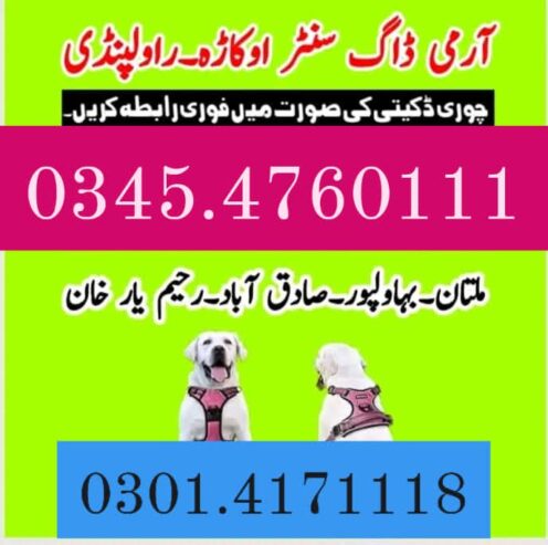 Army Dog Center Rawalpindi 03454760111