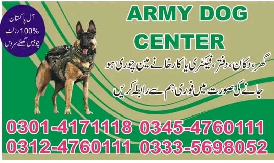 Army Dog center in Islamabad and 24Hours Emergency service