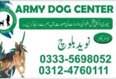 Army Dog center in Islamabad and 24Hours Emergency service