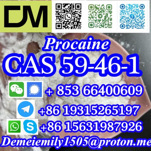 CAS 59-46-1 Procaine