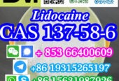 CAS 137-58-6 Lidocaine China factory sales low price high pu