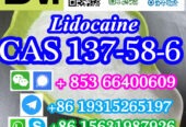 CAS 137-58-6 Lidocaine China factory sales low price high pu