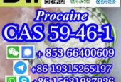 CAS 59-46-1 Procaine