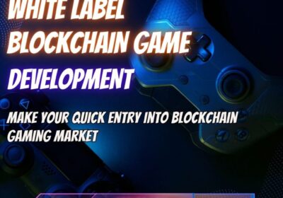 White-Label-Blockchain-Game-Development-30-12-2024-3