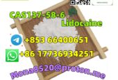 CAS137-58-6 Lidocaine door to door delivery