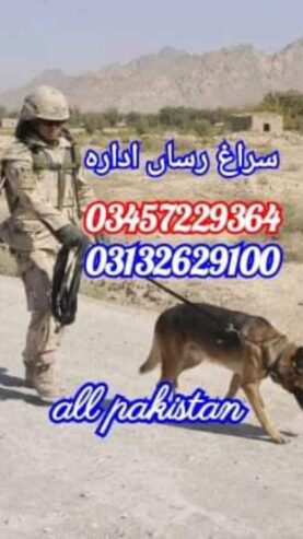 Army dog center pakistan 03457229364