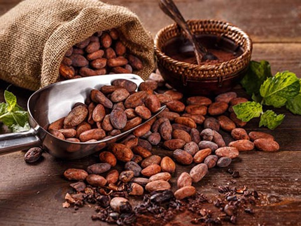 Supplier of Cocoa Bean export and Import +27631501216