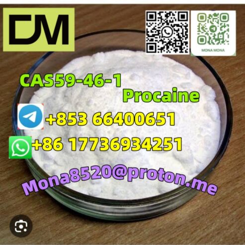 CAS59-46-1 Procaine C13H20N2O2 bestprice