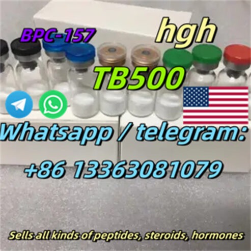 High Quality Tesamorelin Powder Tesamorelin CAS 218949-48-5