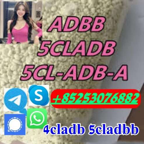 Competitive Price 5CLADBA/ADBB 4fadba 6cl 119276-01-6 Proton