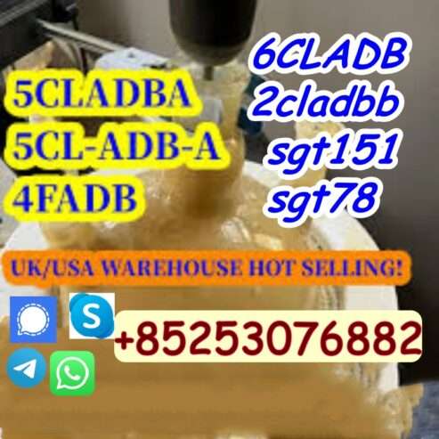 High quality 5CL-ADB powder supplier 5cl adb 5cladba 5cl 2cl