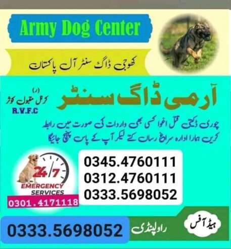 Army Dog Center Faisalabad 03454760111