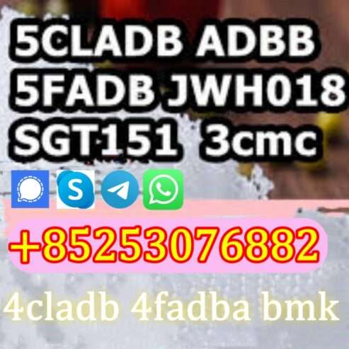 High quality 5CL-ADB powder supplier 5cl adb 5cladba 5cl 2cl