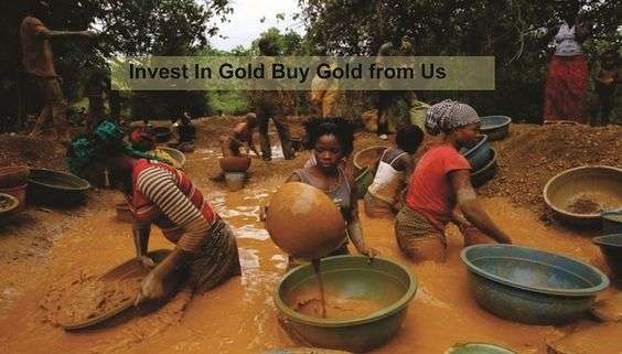 Pure Gold Producers Near you in Belize Belmopan+256757598797