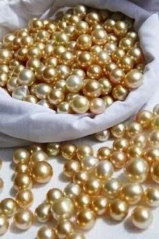 Quick delivery gold suppliers in Angola Luanda+256757598797