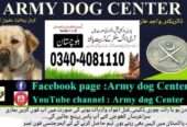 Army Dog Center Rahim yarkhan 0346-6108015