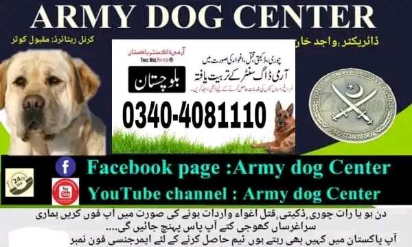 Army Dog Center Rahim yarkhan 0346-6108015