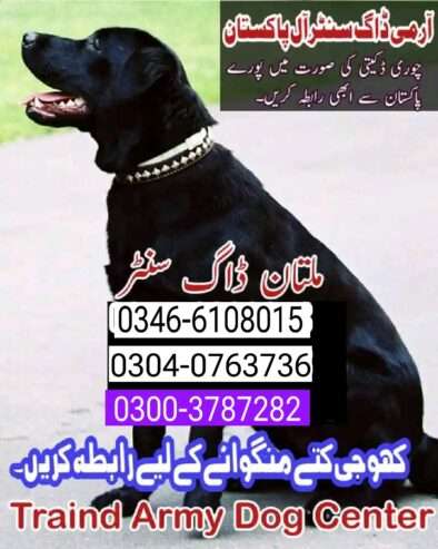 Army dog center 0340-4081110