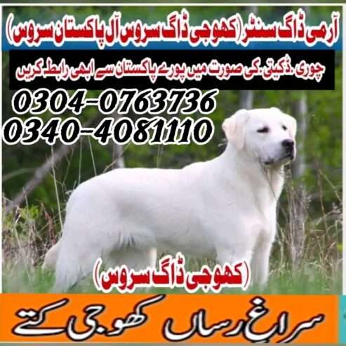 Army Dog Center Rahim yarkhan 0346-6108015