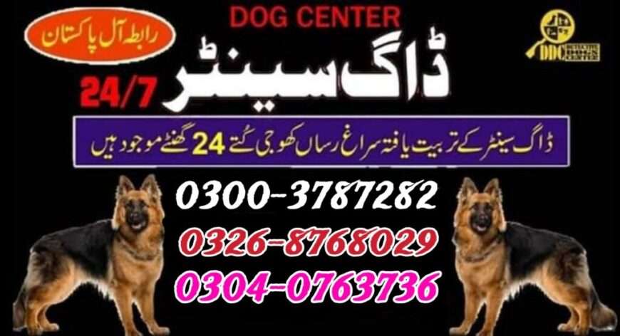 Army Dog Center Rahim yarkhan 0346-6108015