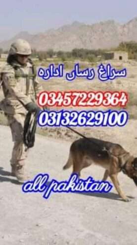 Army dog center 03457229364