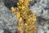 Gold Nuggets Manufacturers in Belgium Brussels+256757598797