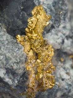 Gold Nuggets Manufacturers in Belgium Brussels+256757598797