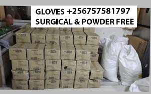 Powder free gloves for wholesale in Kampala Uganda