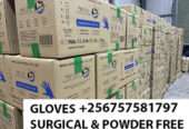 Powder free gloves for wholesale in Kampala Uganda