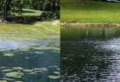 Pond Aeration System Maintenance in Uganda +256 780861400