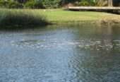 Submersed Pond Aerator installation in Uganda +256 709614648