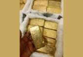 Precious Metal Dealers in Netherlands+256757598797