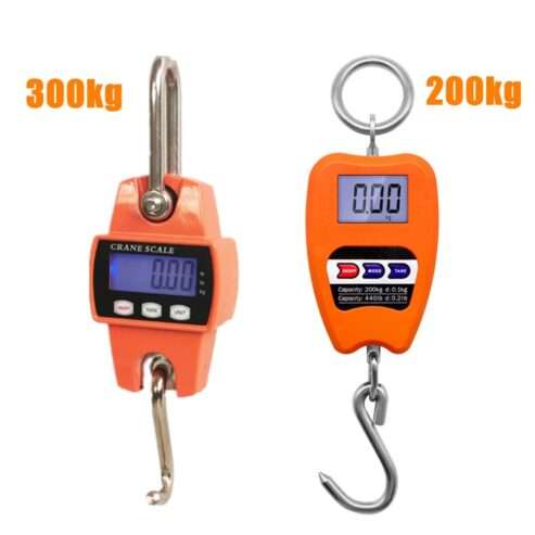 Portable digital electronic luggage