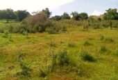 5 square miles for sale in Hoima each acre is at 7m
