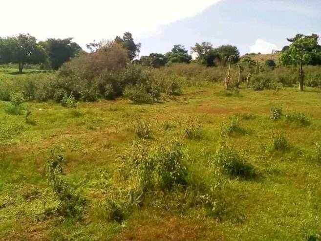 5 square miles for sale in Hoima each acre is at 7m