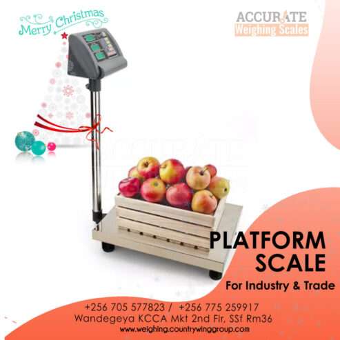 Digital Platform Weighing Scales