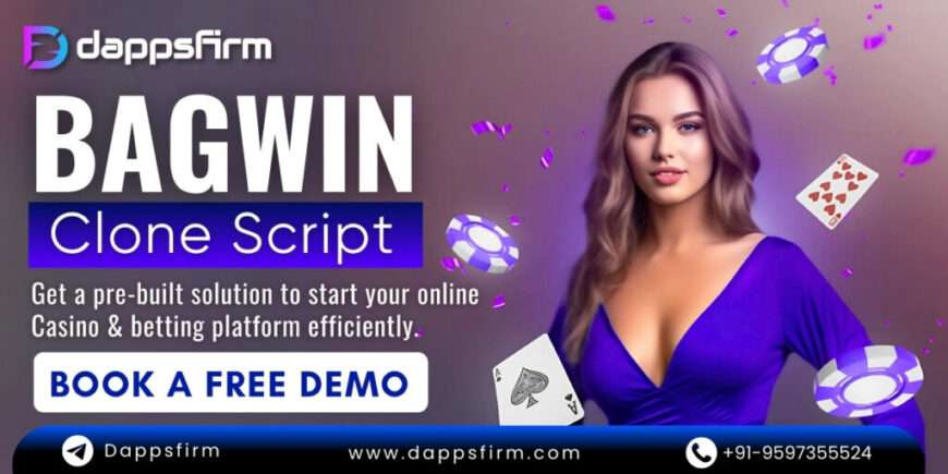 Bespoke BagWin Clone Software at low cost