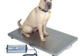 Veterinary weighing scales