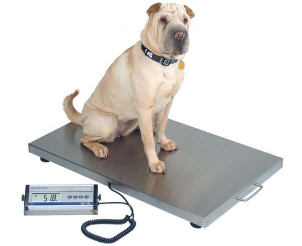 Veterinary weighing scales