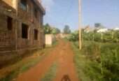 Shell house with 5 bedrooms for sale in Mbalwa Namugongo at