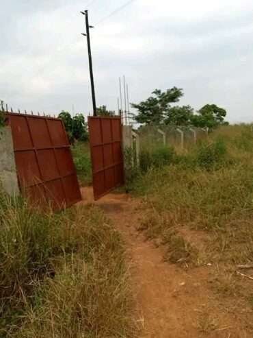 500 acres for sale in Luweero kakooge each at 9m
