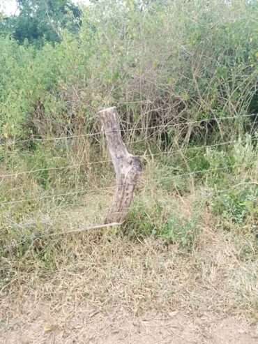 500 acres for sale in Luweero kakooge each at 9m