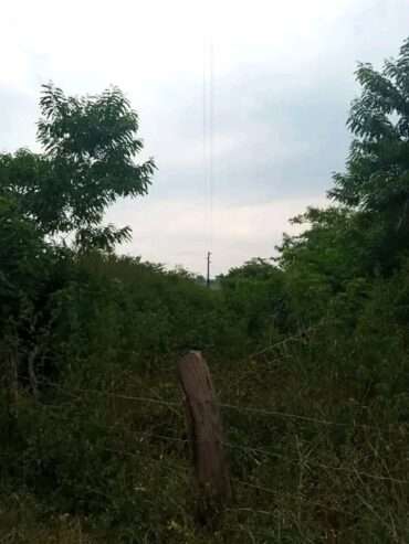 500 acres for sale in Luweero kakooge each at 9m