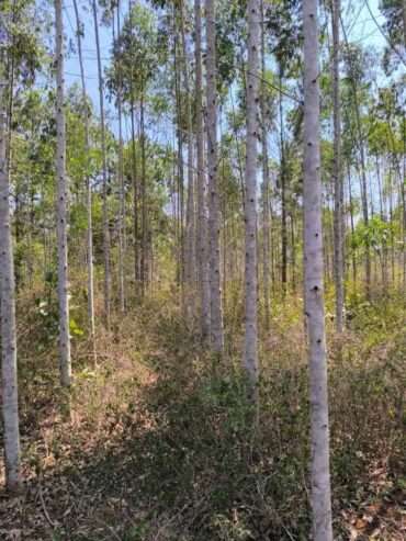 10 acres on quick sale in Luweero kakooge each at 9m