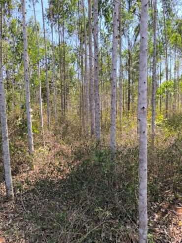 10 acres on quick sale in Luweero kakooge each at 9m