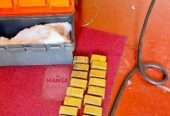 Trusted dealers in gold nuggets in Vitoria-Gast+256757598797
